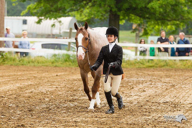 4H-FUN-060813-0153.jpg