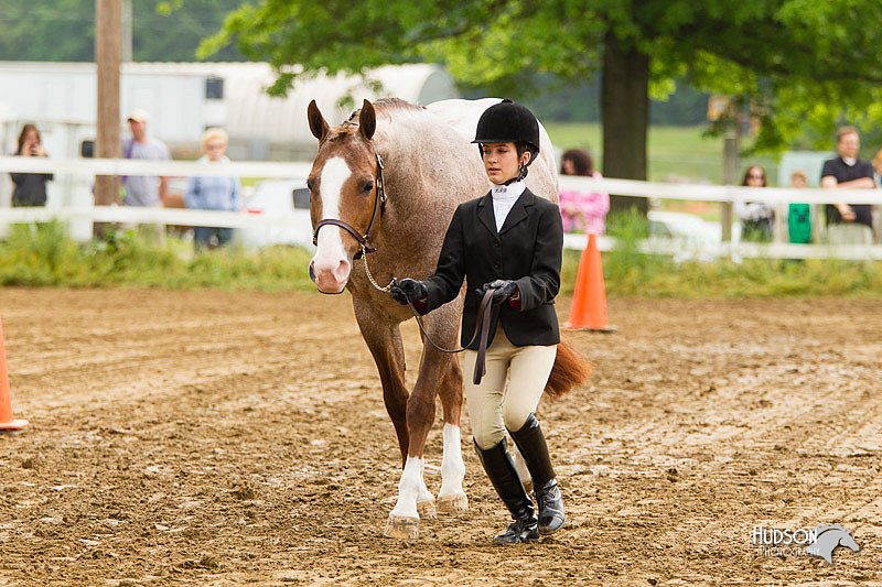 4H-FUN-060813-0154.jpg
