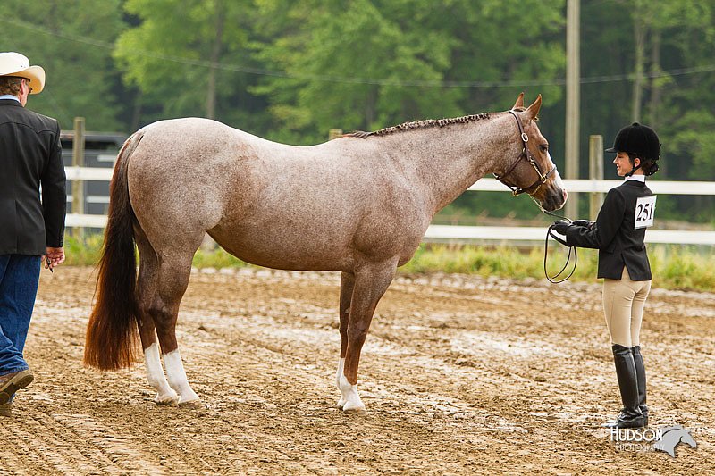 4H-FUN-060813-0157.jpg