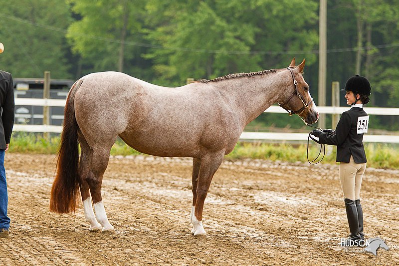 4H-FUN-060813-0158.jpg