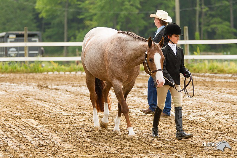 4H-FUN-060813-0159.jpg