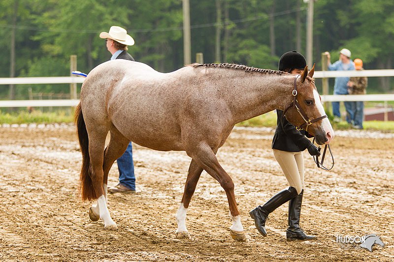4H-FUN-060813-0160.jpg