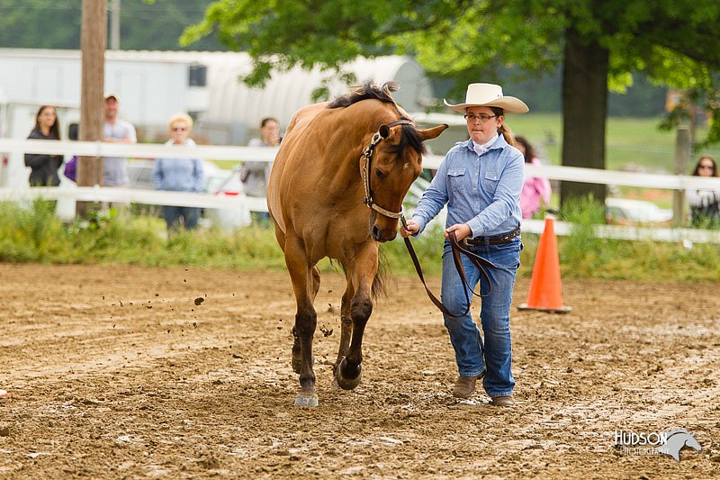 4H-FUN-060813-0161.jpg