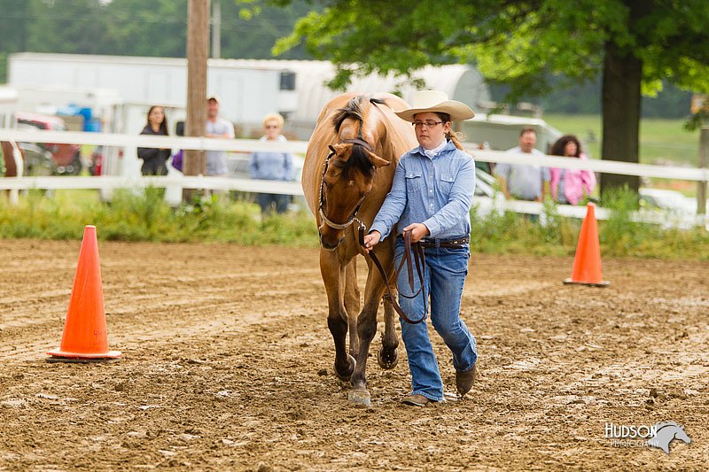 4H-FUN-060813-0162.jpg