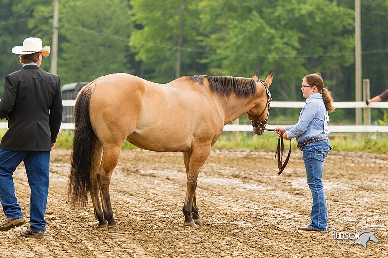 4H-FUN-060813-0164.jpg