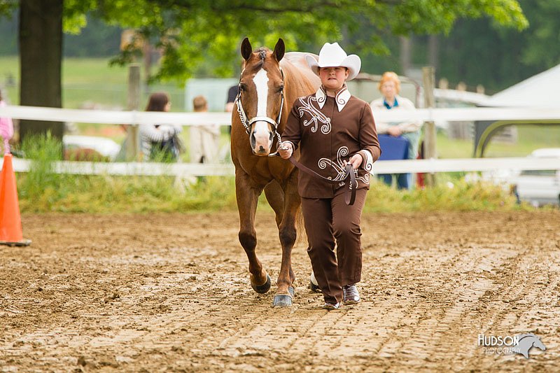 4H-FUN-060813-0166.jpg