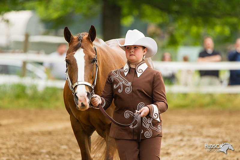 4H-FUN-060813-0169.jpg