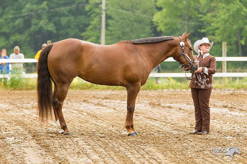 4H-FUN-060813-0172.jpg