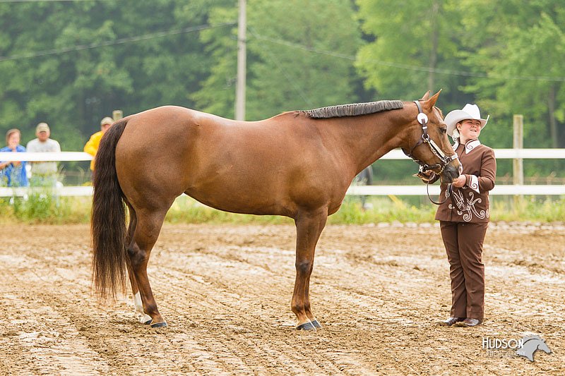 4H-FUN-060813-0173.jpg