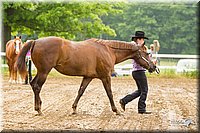 4H-FUN-060813-0088.jpg