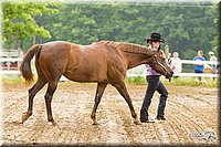 4H-FUN-060813-0089.jpg