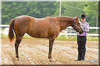 4H-FUN-060813-0091.jpg