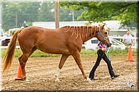 4H-FUN-060813-0097.jpg
