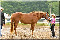 4H-FUN-060813-0099.jpg