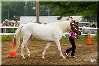 4H-FUN-060813-0123.jpg