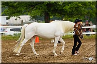 4H-FUN-060813-0124.jpg
