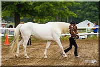 4H-FUN-060813-0125.jpg