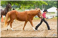 4H-FUN-060813-0135.jpg