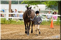 4H-FUN-060813-0141.jpg