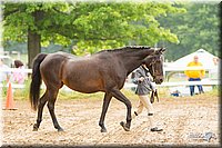 4H-FUN-060813-0143.jpg