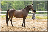 4H-FUN-060813-0144.jpg