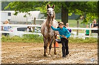 4H-FUN-060813-0147.jpg