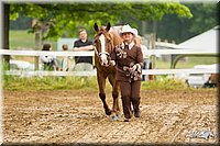 4H-FUN-060813-0165.jpg