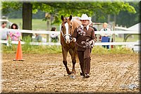 4H-FUN-060813-0167.jpg