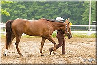 4H-FUN-060813-0171.jpg