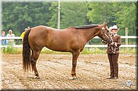 4H-FUN-060813-0173.jpg