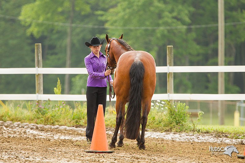 4H-FUN-060813-0001.jpg