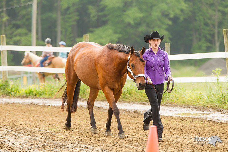 4H-FUN-060813-0003.jpg