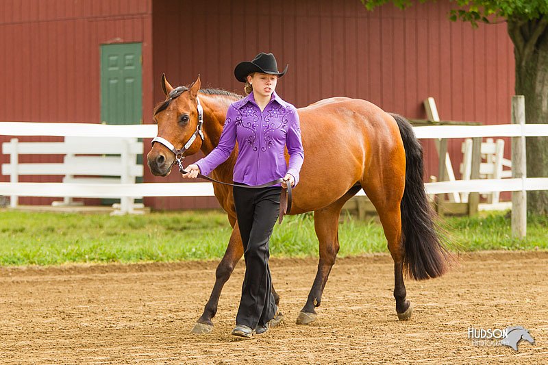 4H-FUN-060813-0008.jpg