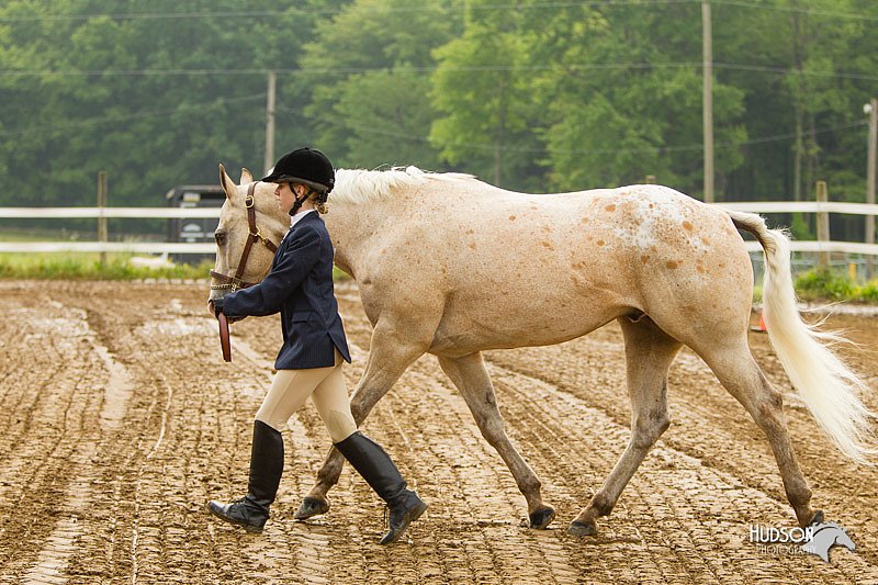 4H-FUN-060813-0011.jpg