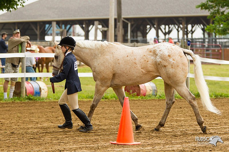 4H-FUN-060813-0012.jpg