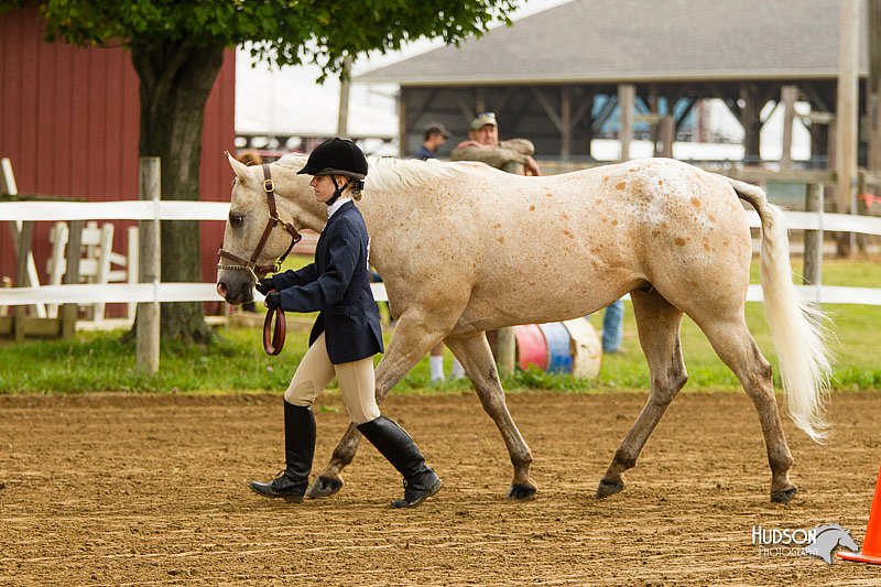 4H-FUN-060813-0013.jpg
