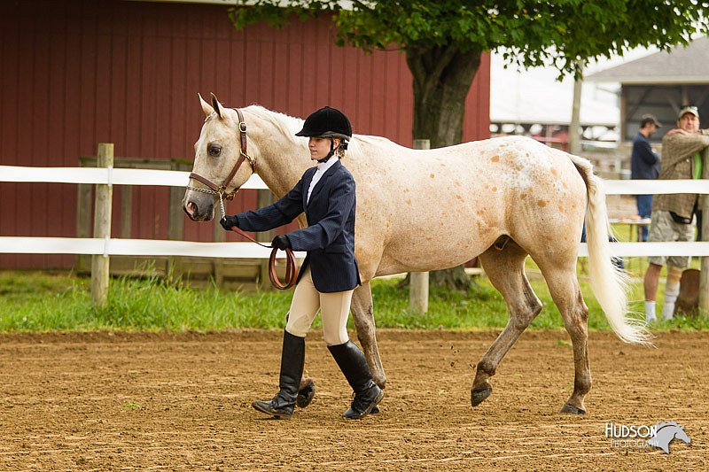 4H-FUN-060813-0014.jpg