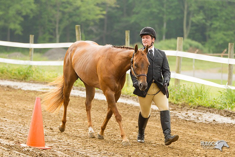 4H-FUN-060813-0017.jpg