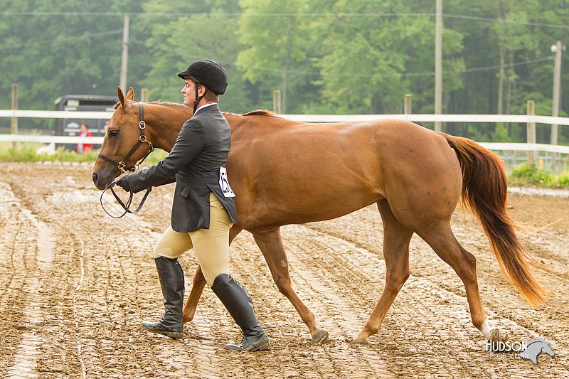 4H-FUN-060813-0019.jpg