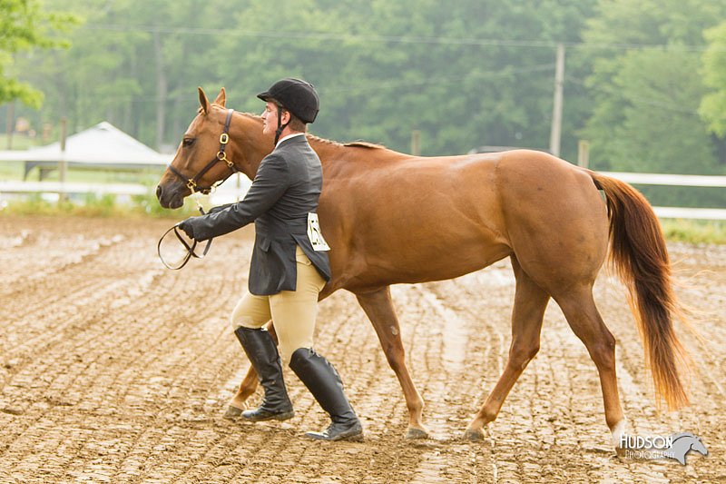 4H-FUN-060813-0020.jpg