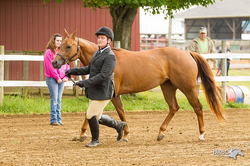 4H-FUN-060813-0021.jpg