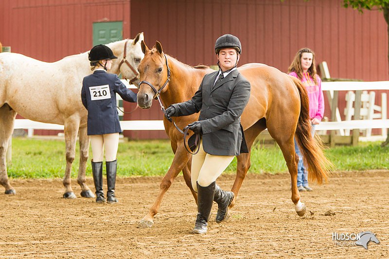 4H-FUN-060813-0022.jpg