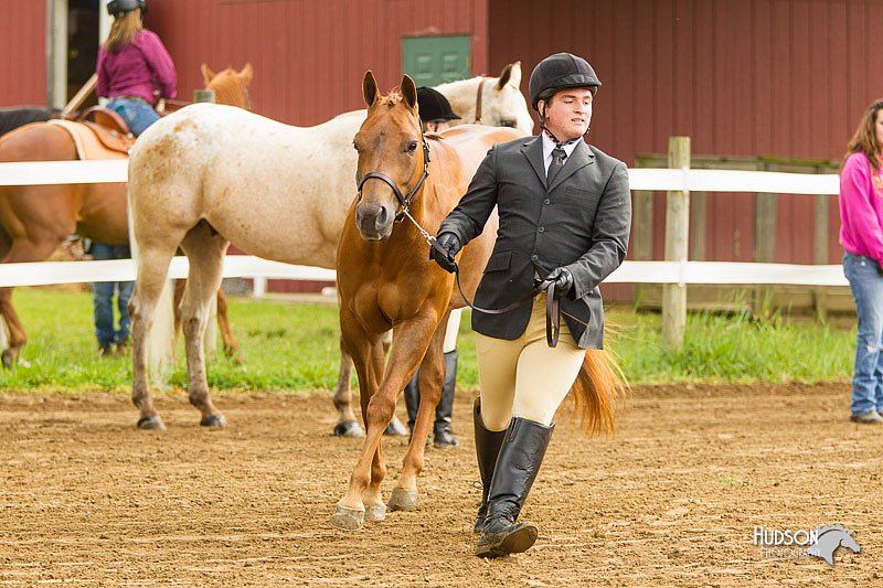 4H-FUN-060813-0023.jpg