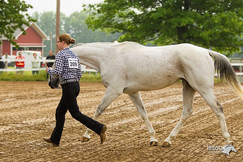 4H-FUN-060813-0027.jpg