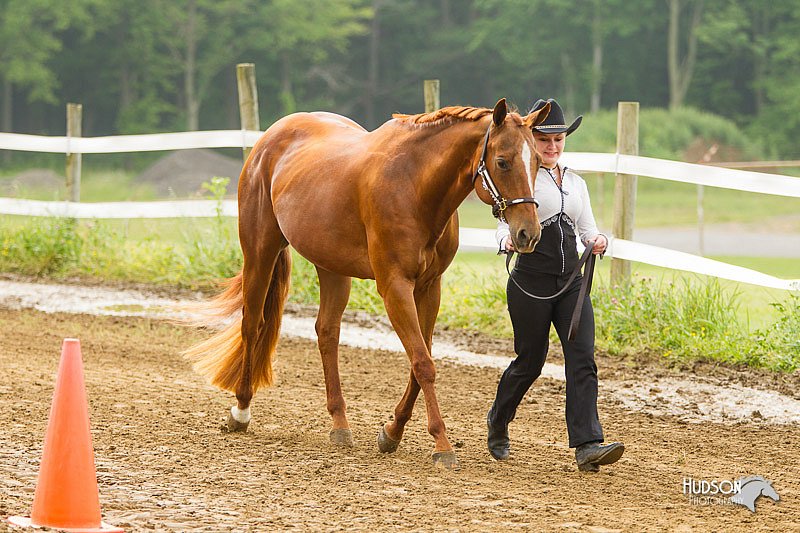 4H-FUN-060813-0029.jpg