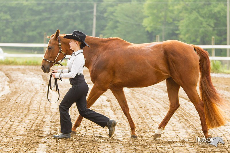 4H-FUN-060813-0033.jpg