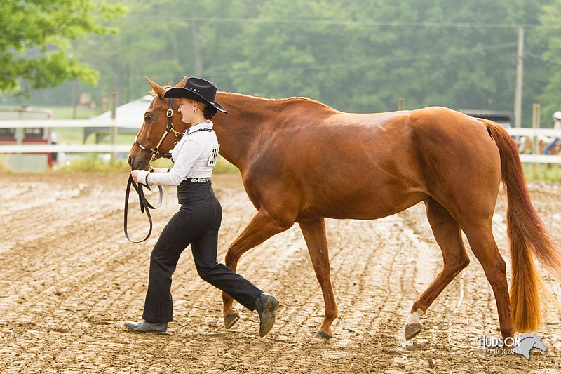 4H-FUN-060813-0034.jpg
