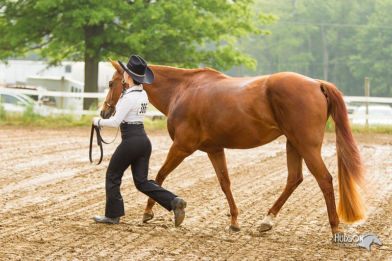 4H-FUN-060813-0035.jpg