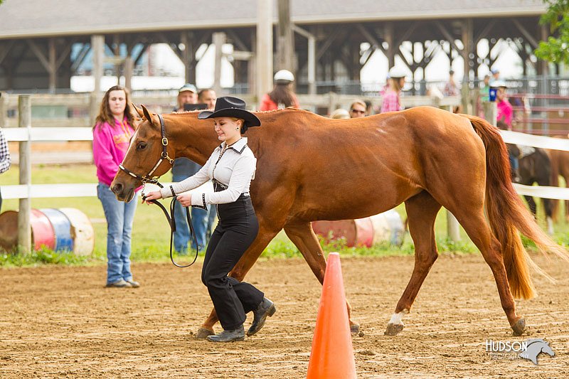 4H-FUN-060813-0036.jpg