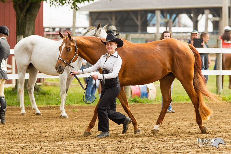 4H-FUN-060813-0037.jpg